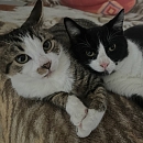 Milly & Carlo