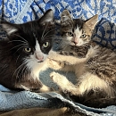 Milly & Carlo