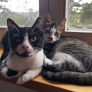 Milly & Carlo