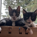 Milly & Carlo