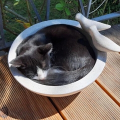 Charly (ehemals Maudi) geht es bestens!
