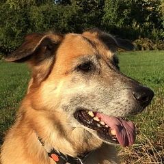 Gina - eine Seniorin von 15 Jahren