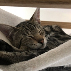Betty mit ihrem neuen Spielfefährten