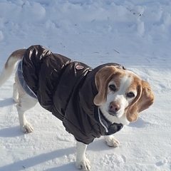 Grüsse aus den Bergen von Etoile