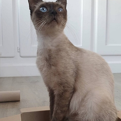  Lisa - sucht Einzelplatz