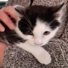 Bumi