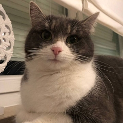 Mia