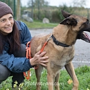 Mambo - Sprengstoffspürhund in Rente