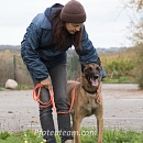 Mambo - Sprengstoffspürhund in Rente