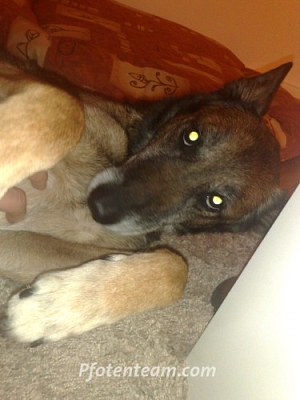 Roxanne hat es geschafft!