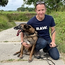 Harri - Sprengstoffsuchhund in Rente
