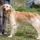 Duke