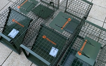 Wir haben unsere Katzenfallen-Flotte vergrössert! Denn es gibt wieder überall ungewollte Katzenbabies.