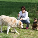 Linda, die Sanfte