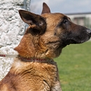 Vasco