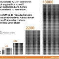 Heute 08.08.2014 ist Weltkatzentag - Nur Kastration verhindert Katzenelend - Seule la castration peut mettre fin à la misère des chats errants!