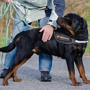 Blacky 2