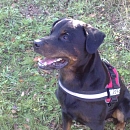 Jack
