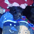 Jack
