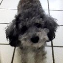 Molly