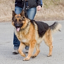 Esko