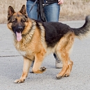 Esko