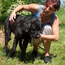 Onyx 2