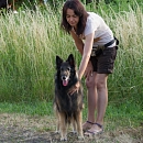Kira