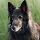 Kira