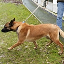 Eliot (Ehmji)