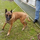 Eliot (Ehmji)