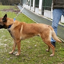 Eliot (Ehmji)