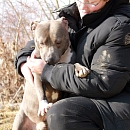 Billy 3