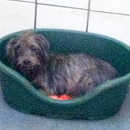 Betty
