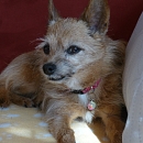 Tina
