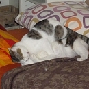 Monty