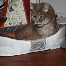 Old Bella