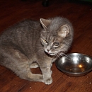 Old Bella