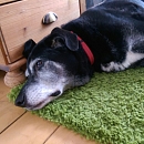 Billy - der freundliche Opi