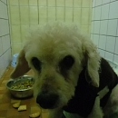 Berti
