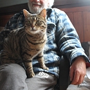 Chicco