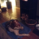 Billy