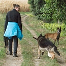 Clif (verspielter Opa & Sprengstoffsuchhund))