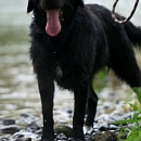 Akima (Anja)