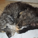 Edgar (Eddi)