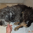 Edgar (Eddi)