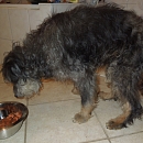 Edgar (Eddi)