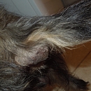 Edgar (Eddi)