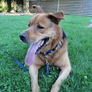 Benny