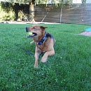Benny